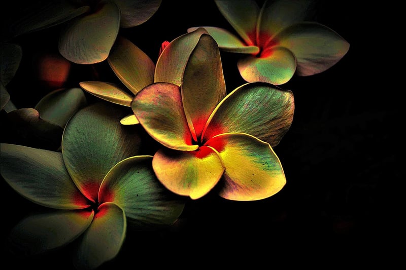 Mystical Ambiance