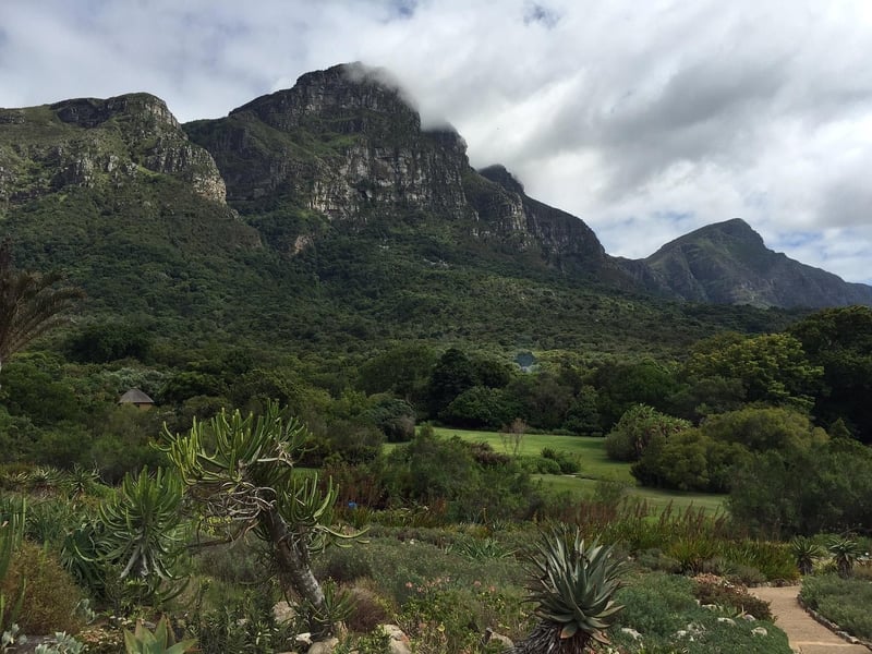 Kirstenbosch National Botanical Garden, South Africa